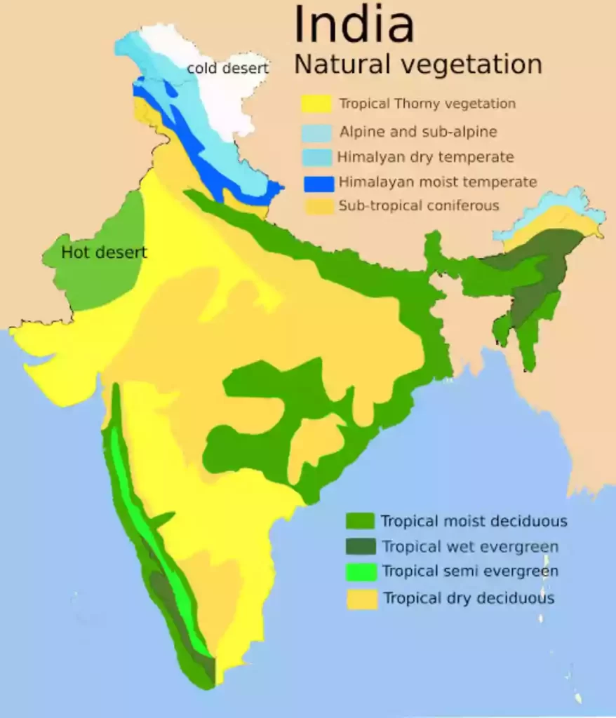 Types of forest in india map भारत में वनों के प्रकार का मैप